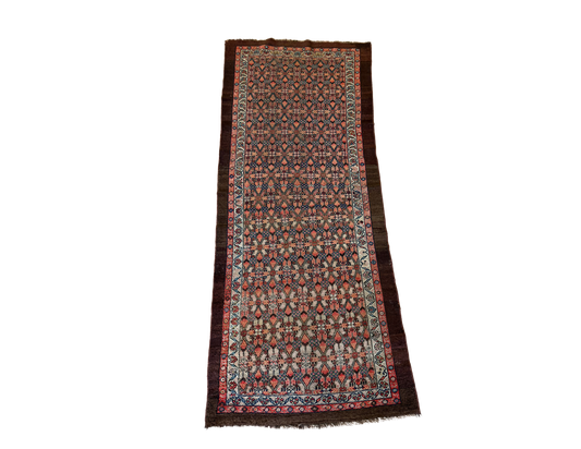 Kurdish Village Rug 3’2x7’5