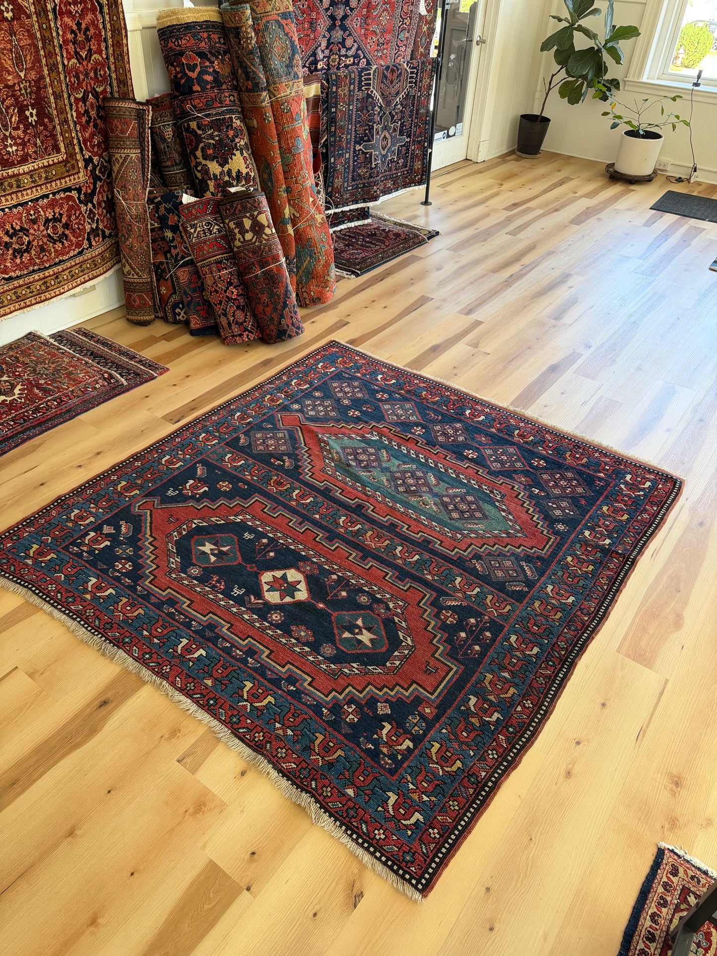 Square Caucasian 5’8”X6’